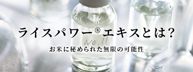 セット商品 | アイテムから探す | ライスフォース＜公式＞オンライン