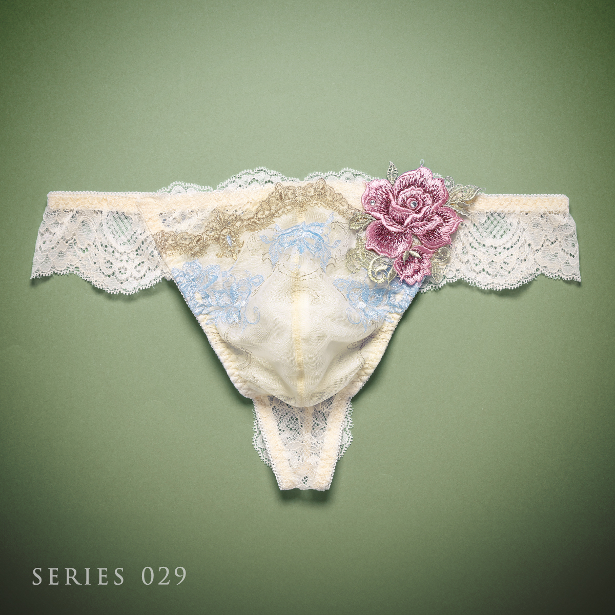 ヒミコ 029シリーズ Tバック パンツ バックレース タンガ メンズ M L