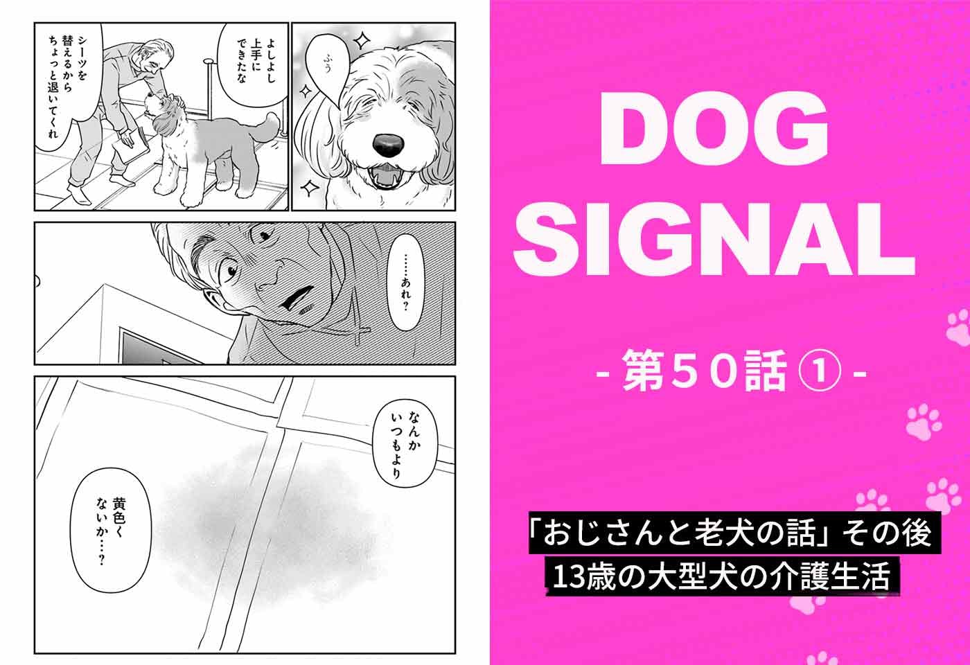 漫画『DOG SIGNAL（ドッグシグナル）』50話目1/4 13歳になった大型犬の