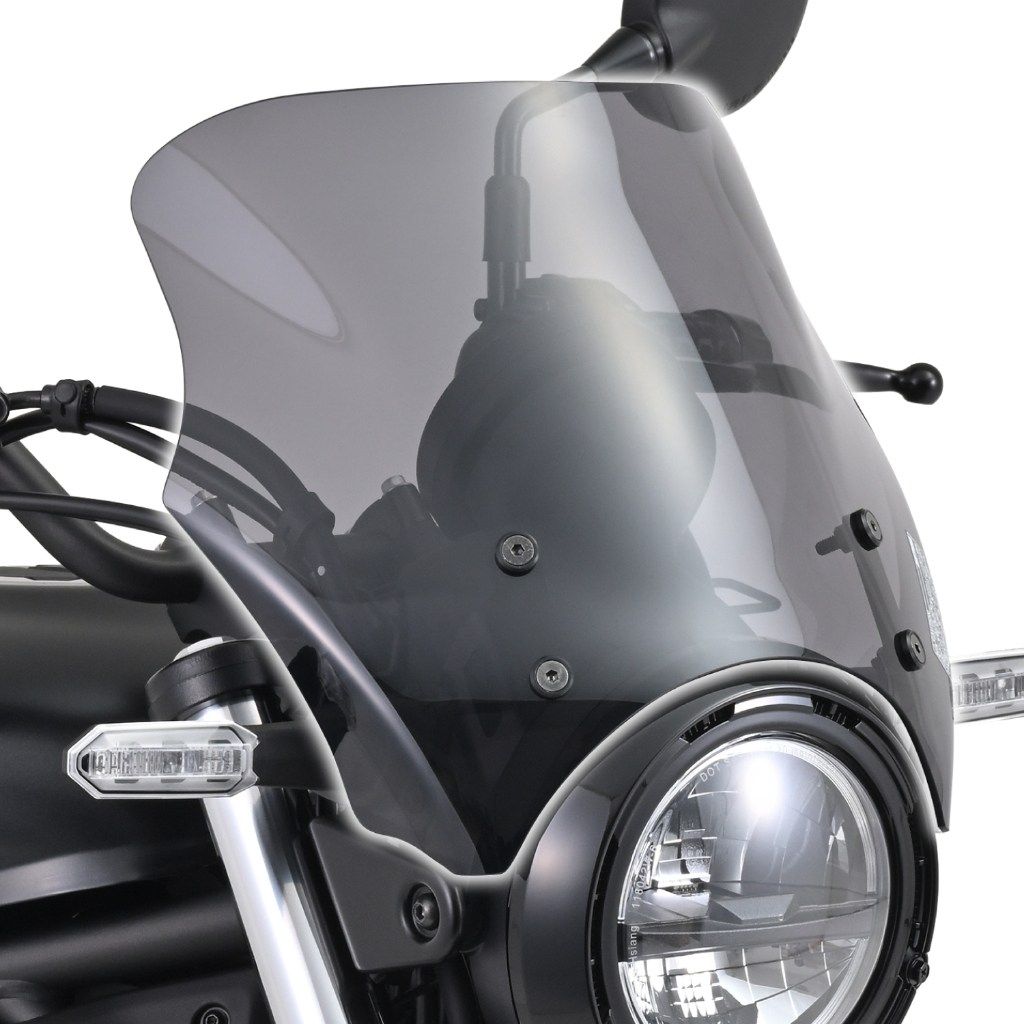 Webike | DAYTONA デイトナ ブラストバリアー ELIMINATOR(42156