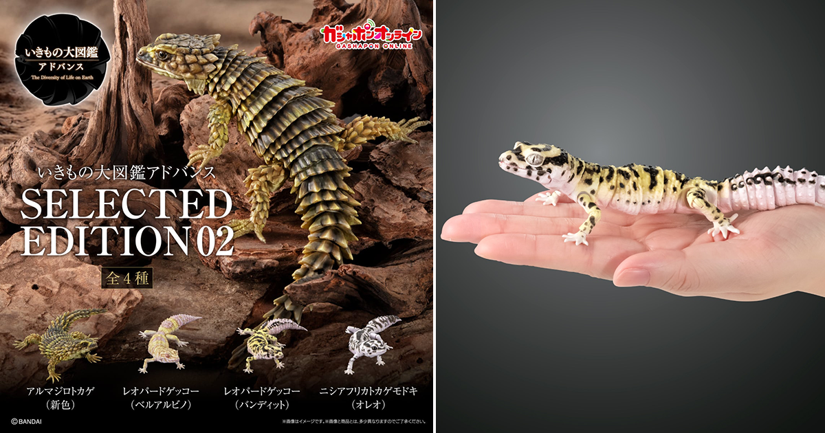 GASHAPON「いきもの大図鑑アドバンス SELECTED EDITION 02」カプセル