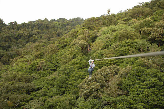 オトナでも楽しめる！日本最大の”冒険の森”が、2016年春にオープン