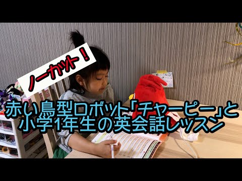 みんなのチャーピー先生