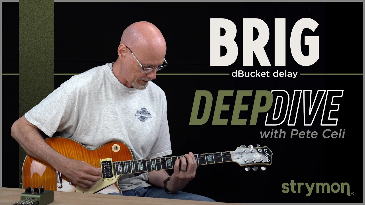 Brig dBucket Delay - Strymon
