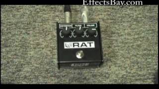 Pro Co Limited Edition Reissue '85 Whiteface RAT - What To Know