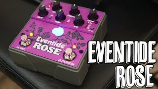 Eventide Rose - What To Know & Where To Buy | Equipboard