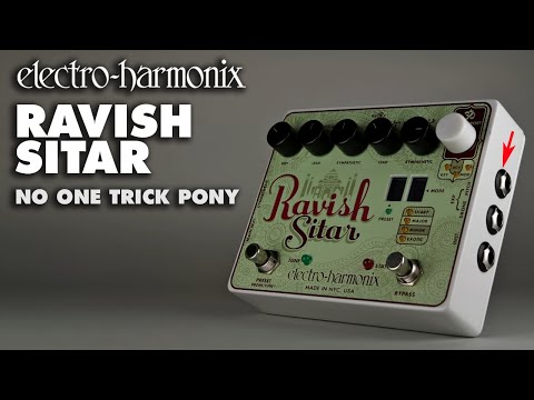 Electro-Harmonix Ravish Sitar Emulation Pedal | Sweetwater