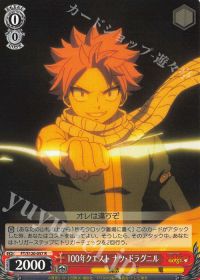 フェアリーテイル8宝紹介 | トレカの買取・通販ならカードショップ