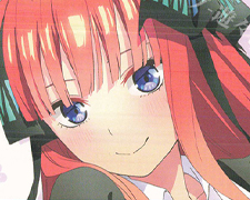 RR 乙女心 万里花 販売 | ニセコイ | ヴァイスシュヴァルツ通販なら