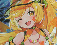 LR CONNECTスピニング 販売 | [WXDI-14] フェゾーネ DIVA with 電音部