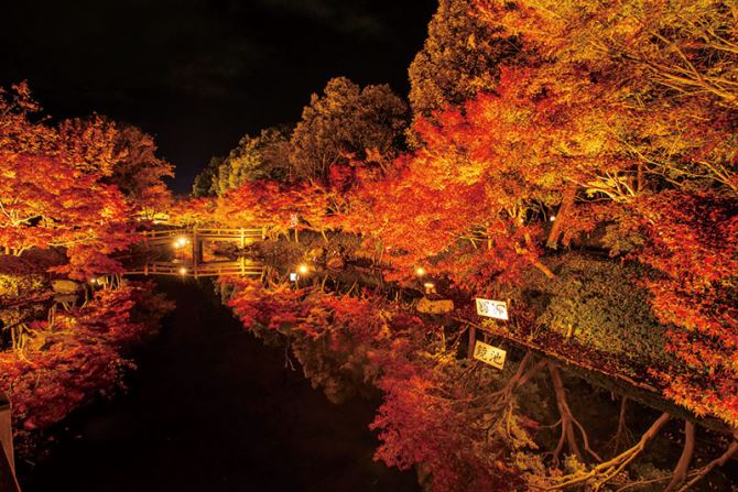 東海近郊】幻想的な逆さ紅葉8選！水面に映る絶景を見に行こう＜2024