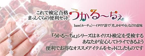 ネイリスト検定2級]チップラップセット【うかる～ちぇ/割れ爪リペア
