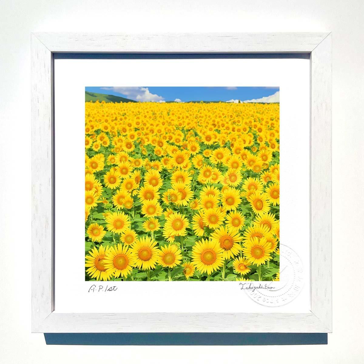 版画 絵画 ひまわり畑 インテリア 壁掛け 額入り 額装込 風景画 油絵