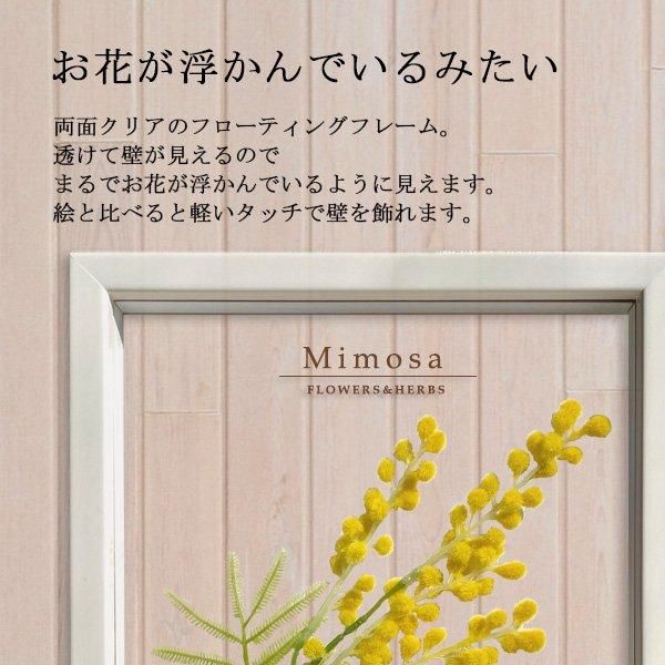 壁掛け アートフレーム》ボタニカルフレーム3枚セット