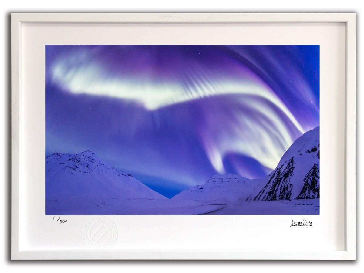 期間限定値下 AURORA 版画 絵画 【公式通販】