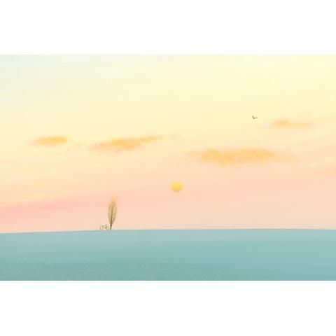 アートグラフ【夕陽の中の自転車】太子サイズ - 葉祥明美術館公式