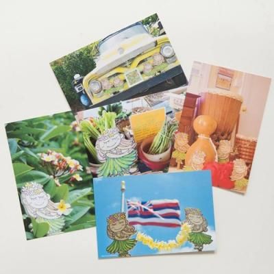 Hawaiianpaint KAN - ハワイアン・セレクトショップ | Lani Hawaii