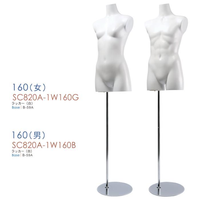 子供トルソー・腕なし ラッカー塗装 SC820A-1W160 | マネキン