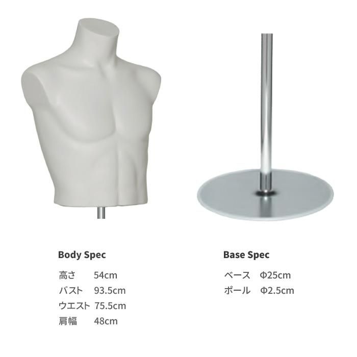 卓上トルソー メンズ ボディ スポーツタイプ 紳士 上半身 腕なし
