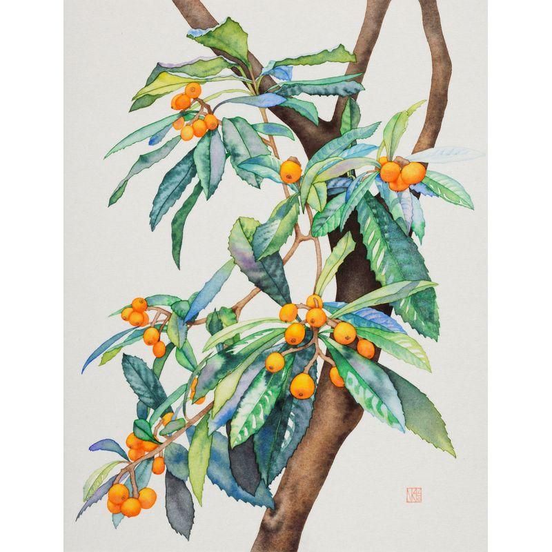 相澤ななほ 「枇杷」 水彩6号 - 一枚の繪オンラインショップ