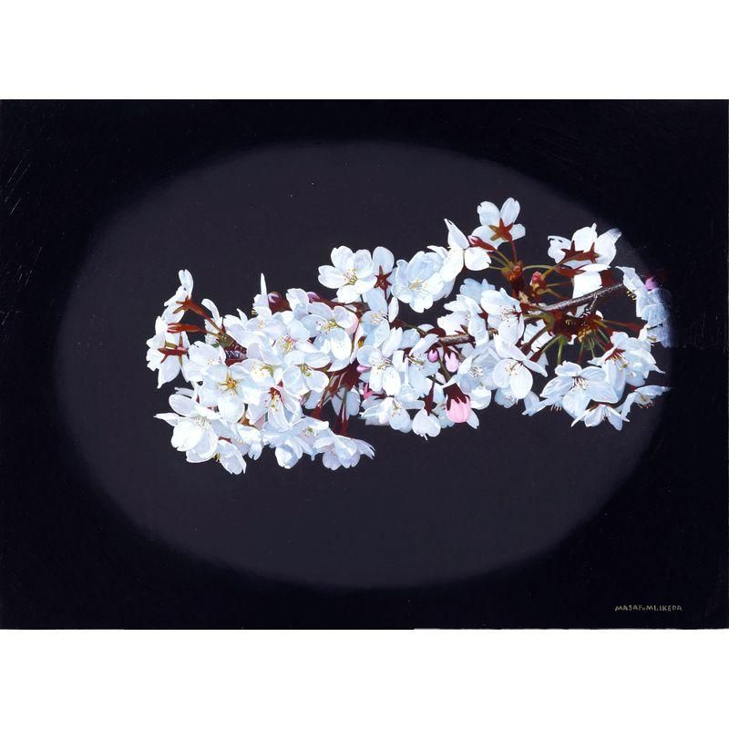 商品検索 - 一枚の繪オンラインショップ