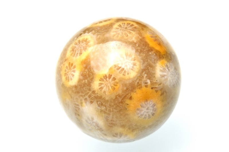 1点物】フォッシルコーラル 20.5mm 丸玉(台座なし) スフィア _PA922