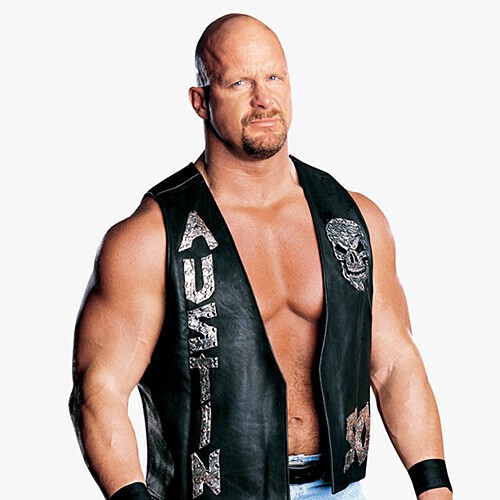 初回送料無料】FlexFigs WWE Legends ベンダブル ストーン・コールド