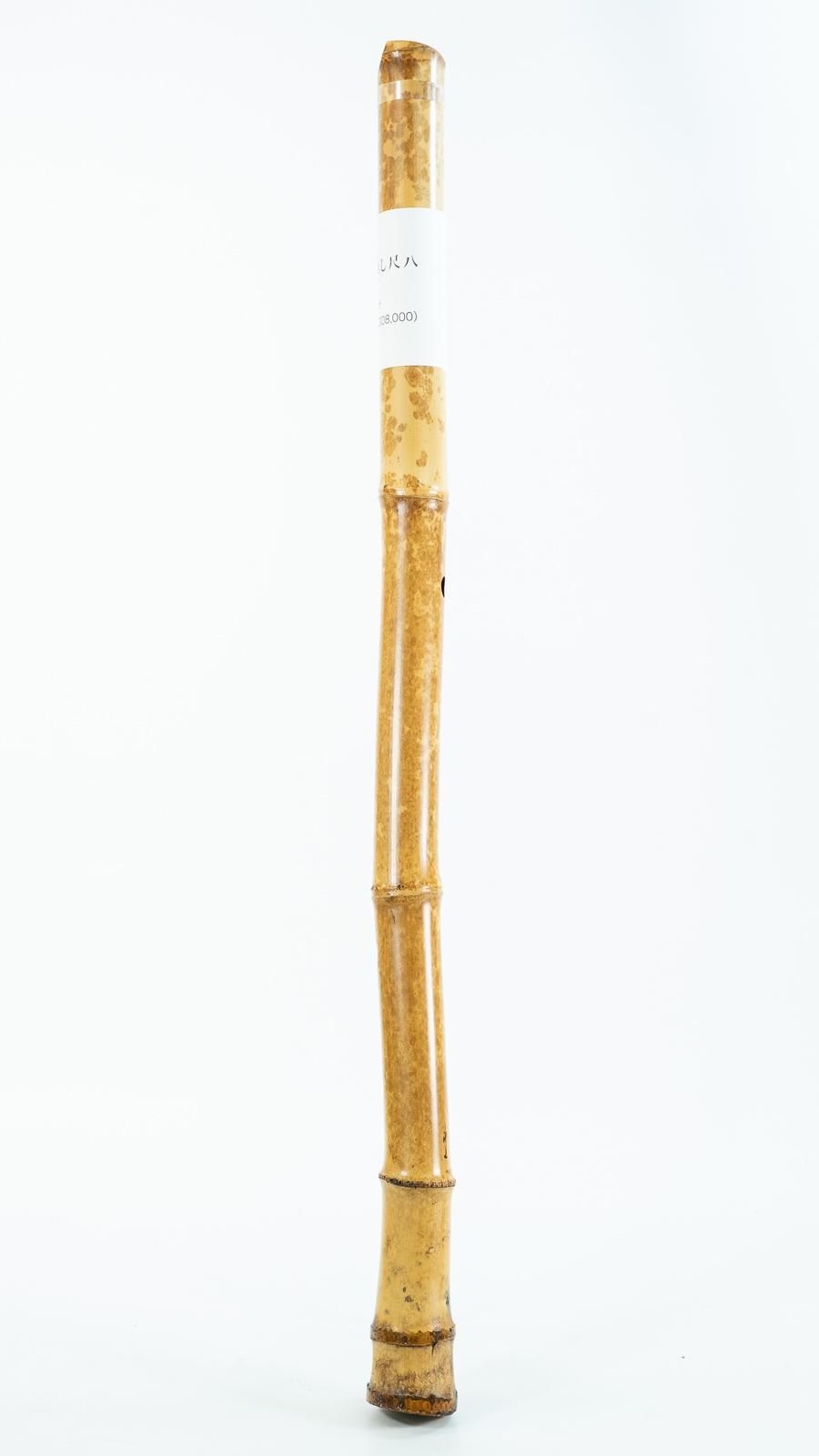 池上銘地無し尺八2尺3寸6分 - 泉州尺八工房＆TAKE 1 WEB SHOP