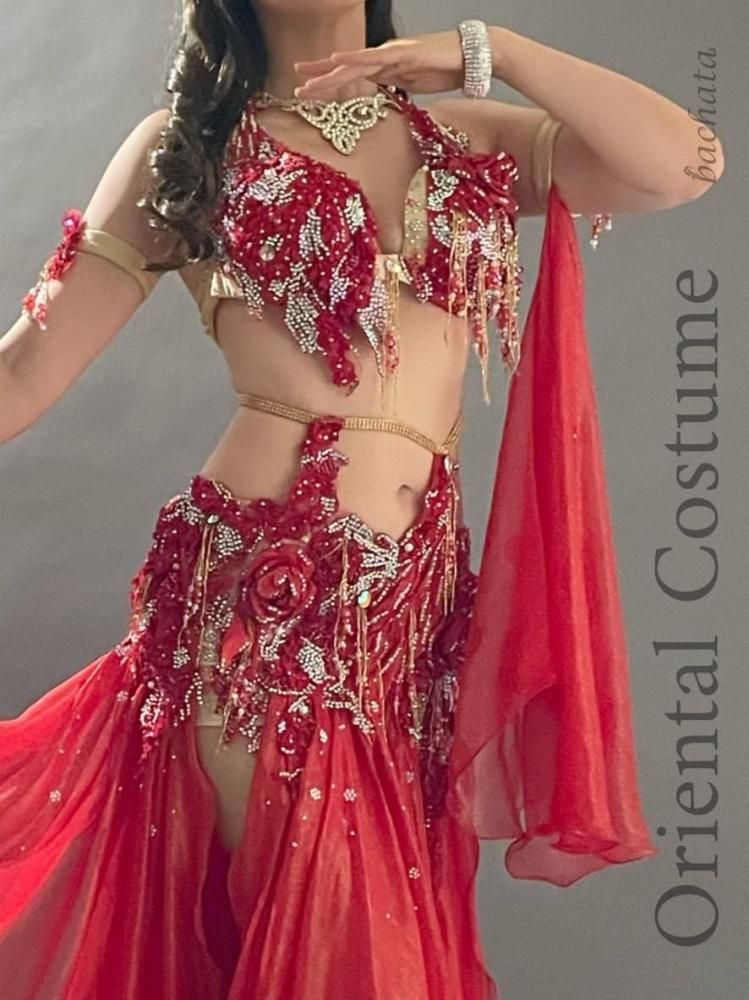 ベリーダンスの衣装 オリエンタル シャービー Hoyda 発表会 エジプト直