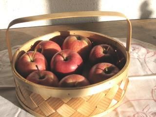 北欧風フルーツバスケット - 北欧雑貨・ヴィンテージショップ 「 made