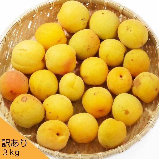 青森の梅（豊後梅）うめ ウメ 訳あり