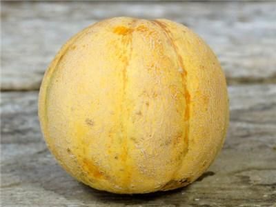 デシリャス51メロンの種 - マルシェ青空