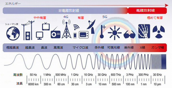 電磁波・化学物質・環境汚染に テスラ - 元国際線CAのセレクトショップ
