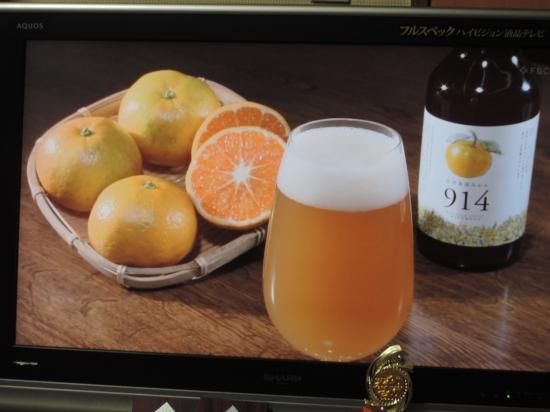 敦賀東浦みかん914ビール【麦芽100％・敦賀東浦産みかん果汁使用】
