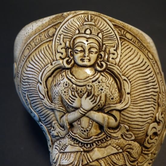 ほら貝・法螺貝・ホラガイ（シャンカ） 持金剛 販売｜大阪 多羅堂