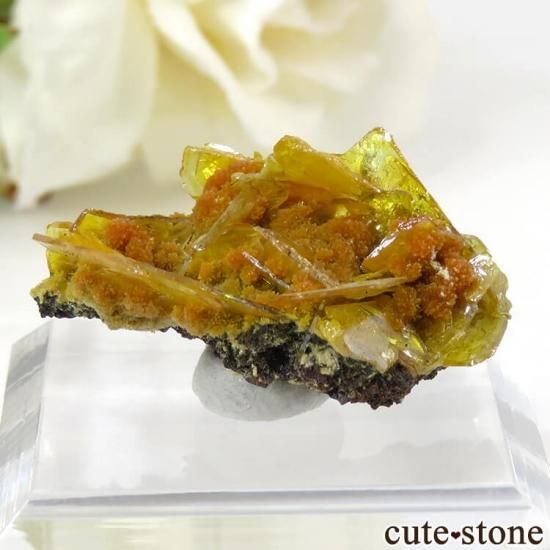 メキシコ San Francisco Mine産 ウルフェナイトの原石 4g - cute stone -