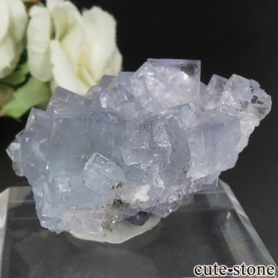 スペイン La Viesca Mine産 ブルーフローライト(蛍石)の原石 No.3