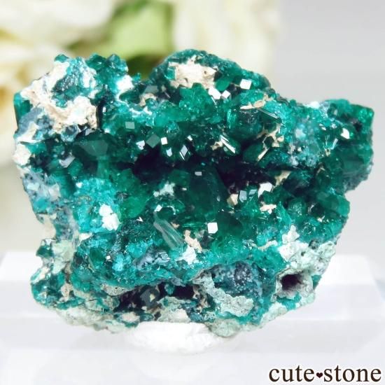 コンゴ共和国 Mindouli産 ダイオプテーズの原石 No.1 - cute stone -