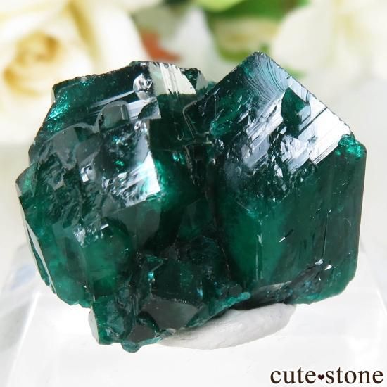 コンゴ共和国 Mindouli産 ダイオプテーズの原石 No.16 - cute stone -