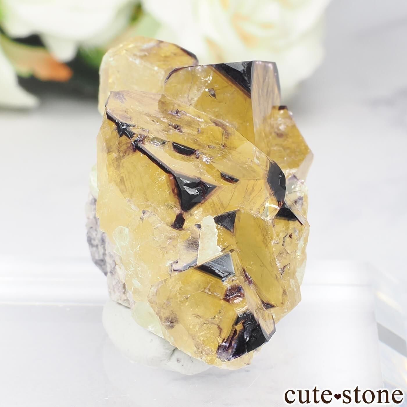 ナミビア Okorusu Mine｜D-Pit産 フローライトの原石 No.71 - cute stone -