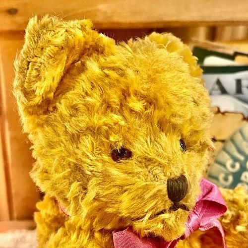イギリス1940〜'50年代 ＊ ビンテージベア ＊ 21cm ＊ 味わい深い