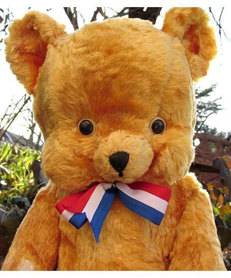 オランダ1950～'60年代、キャラクター・ベア ”プクちゃん” 【 A-1661