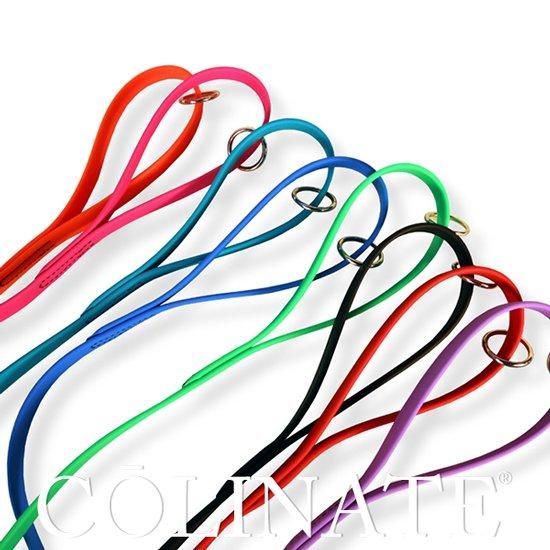 2024 7月 New 中型犬・大型犬・超大型犬用 リード【ビオタン