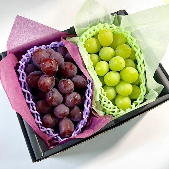 ブラックシャイン ルビーシャイン 富士の輝 シャインセット