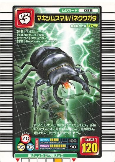 甲虫王者 ムシキング 036 マキシムスマルバネクワガタ 2005ファースト