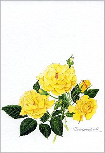 ポストカード「黄色いバラ」 - ヴィラデストワイナリーオンラインショップ
