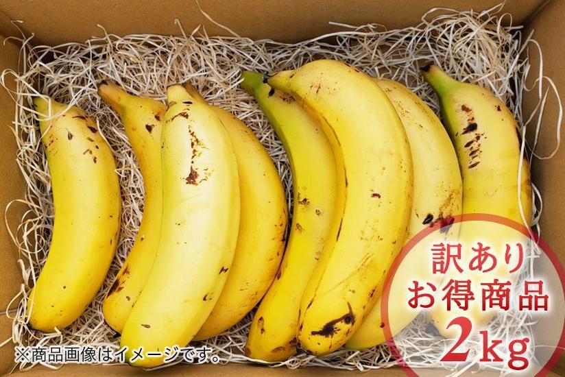 希少！国産バナナNEXT716【訳あり2kg】 - 宮崎県産無農薬バナナ「NEXT716」