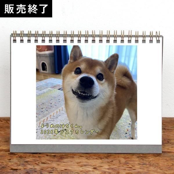 よりめのはちくん。 | 卓上リングカレンダー【柴犬ハチ】（2026年1月
