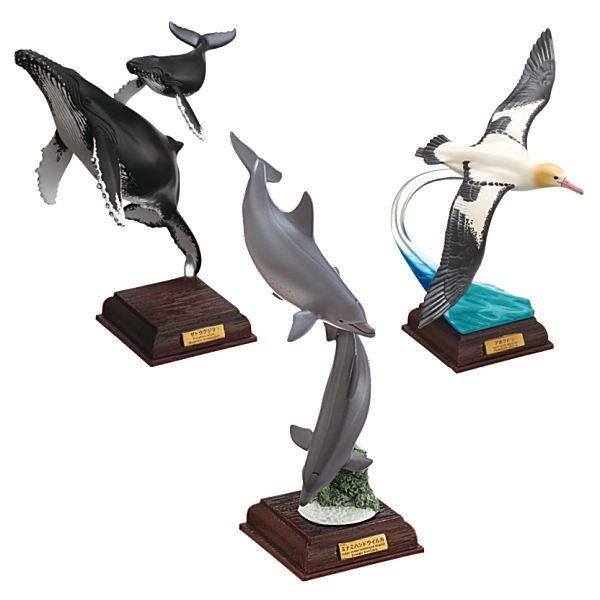 ネイチャーテクニカラー 小笠原 特装版 [アソート3種セット (1