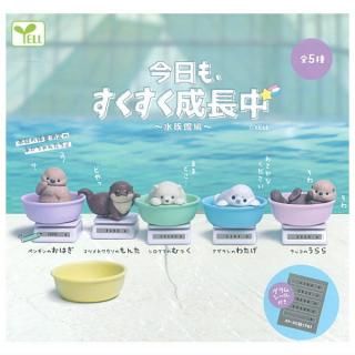 送料無料】【全部揃ってます!!】イタジャガ ドラゴンボール vol.5 [全